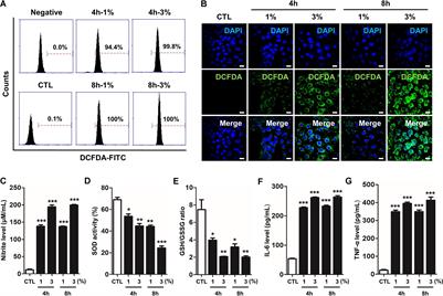 Inhibition of RAGE Attenuates Cigarette Smoke-Induced Lung Epithelial Cell Damage via RAGE-Mediated Nrf2/DAMP Signaling